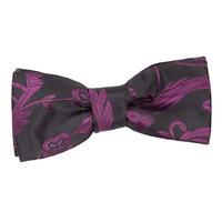 Boy\'s Passion Black & Purple Bow Tie