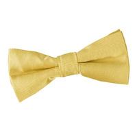 Boy\'s Plain Gold Satin Bow Tie