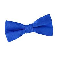 Boy\'s Plain Royal Blue Satin Bow Tie