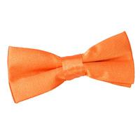 Boy\'s Plain Burnt Orange Satin Bow Tie