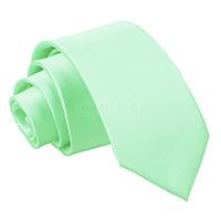 Boy\'s Plain Mint Green Satin Tie (8+ years)