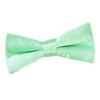 Boy\'s Plain Mint Green Satin Bow Tie