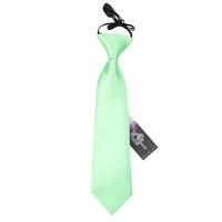 Boy\'s Plain Mint Green Satin Pre-Tied Tie (2-7 years)