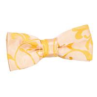 Boy\'s Passion Gold Bow Tie