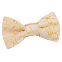 Boy\'s Swirl Gold Bow Tie