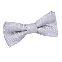 Boy\'s Paisley Silver Bow Tie