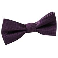 Boy\'s Solid Check Cadbury Purple Bow Tie