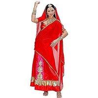 Bollywood Diva Costume Medium For Tv Adverts & Commercials Fancy Dress