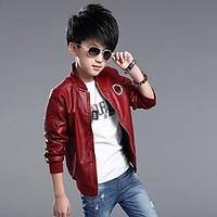 Boy Casual/Daily Solid Embroidered Jacket Coat, Polyester Spring Fall Long Sleeve