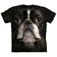 Boston Terrier Face