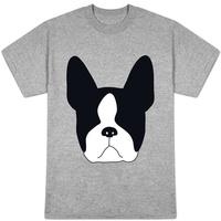 boston terrier