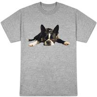 Boston Terrier