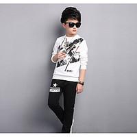 Boy Casual/Daily Print Sets, Cotton Rayon Summer Spring Long Sleeve Clothing Set