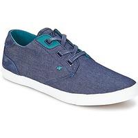 Boxfresh STERN CHAMBRAY men\'s Shoes (Trainers) in blue