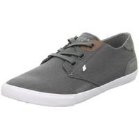 Boxfresh Stern Icn Wxd men\'s Shoes (Trainers) in Grey