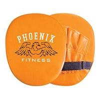 Boxing Target Gloves