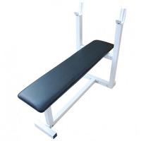 BodyTrain Standard Weight Bench