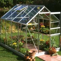 bq metal 6x8 horticultural glass greenhouse