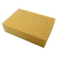 B&Q Sponge