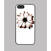 brown daisy iphone 5