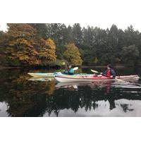 Brentwood Bay Guided Kayak Tours