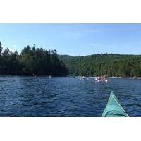 Brentwood Bay Kayak Tour and Wine Tasting