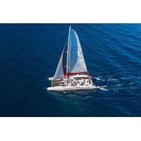 Brac and Solta Party Catamaran with Free Food and Drinks from Split