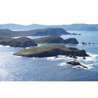 Bruny Island Sightseeing and Gourmet Tour from Hobart
