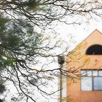 BreakFree Directors Studio