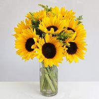 British Sunflower Field - flowers