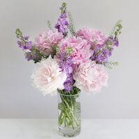 British Stocks and Peonies - flowers