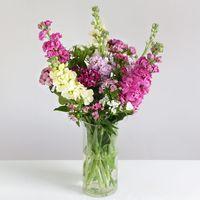 British Mixed Stocks & Sweet Williams - flowers