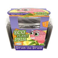 Brian The Brain Eco Plant Pal