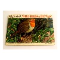 brooke bond picture cards wild birds in britain