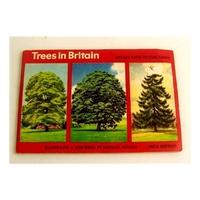 brooke bond picture cards trees in britain