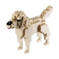 Brixies Golden Retriever