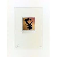 Broken Dream 24k Gold Leaf & Spray Paint Polaroid Collage By Andrew Millar