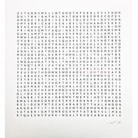 Brighton Word Search Small By Clive Sefton