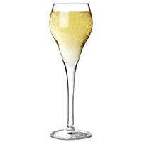 Brio Champagne Flutes 5.6oz / 160ml (Pack of 6)