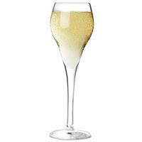 Brio Champagne Flutes 3.3oz / 95ml (Pack of 6)