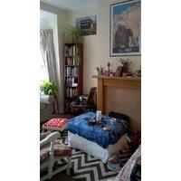 Bright and spacious double room in cozy vegan house