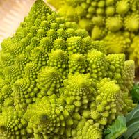 Broccoli \'Romanesco\' (Seeds) - 1 packet (275 broccoli seeds)