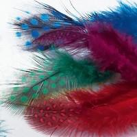 Bright Mix Feathers
