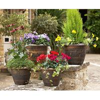 Bronze Grapevine Planters, Set of 4