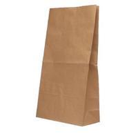 Brown W360xD260xH520mm 12.7kg Paper Bags Pack of 125 302172