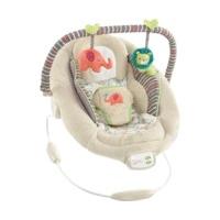 Bright Starts Comfort & Harmony ...