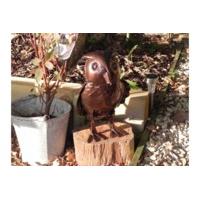 Bronze Owl Gardening Watering Can