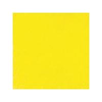 Bruynzeel Design Colour Pencils. Lemon Yellow. Pack of 12