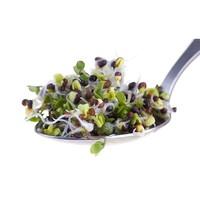 Broccoli Sprouts (100g)