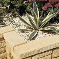 Bradstone, Textured Coping Buff 580(L) x 136(W) x 50(H) - 44 Per Pack